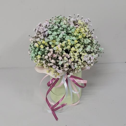 Гипсофила в коробке