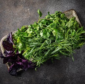 Ассорти зеленых трав / Assorted green herbs