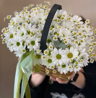 Корзина из микса ромашек