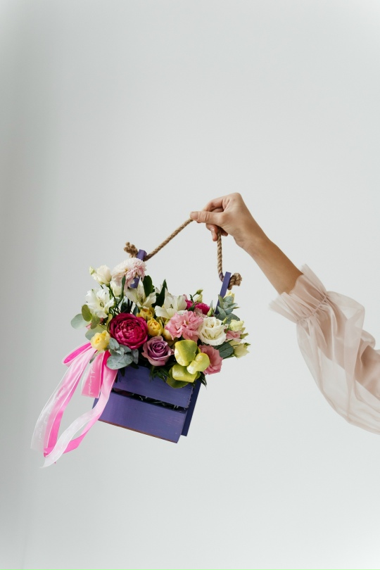 Хитрый заяц