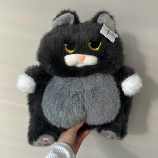 Кошка серенькая