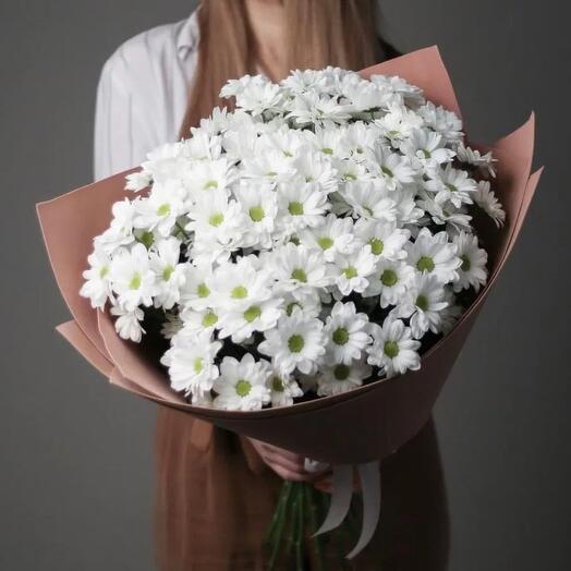 15 ромашковых хризантем