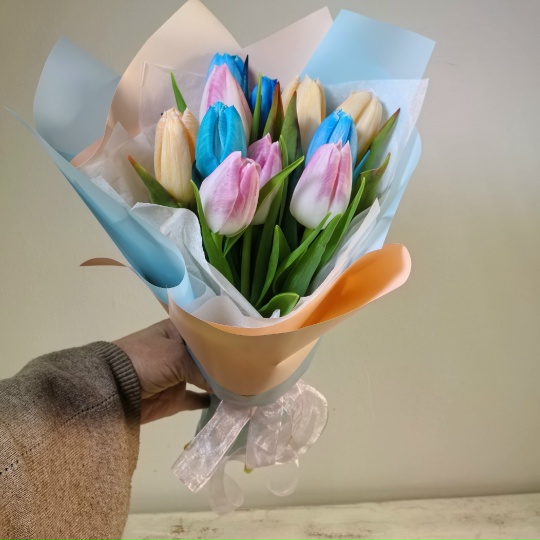 Букет 11 разноцветных сортовых тюльпанов