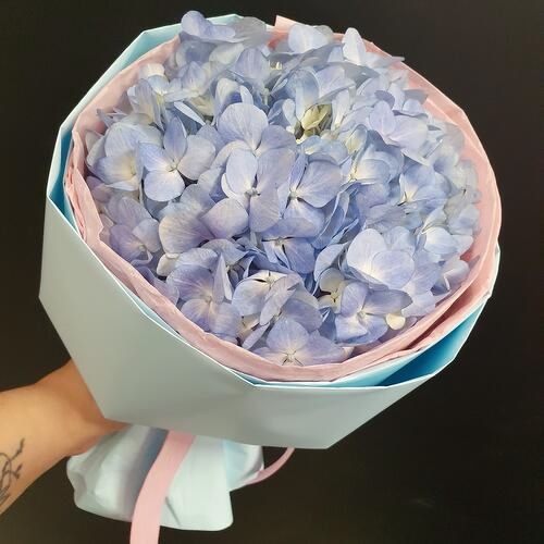 Гортензия с оформлением