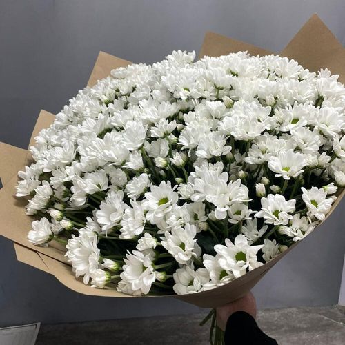 Букет из 25 кустовых хризантем