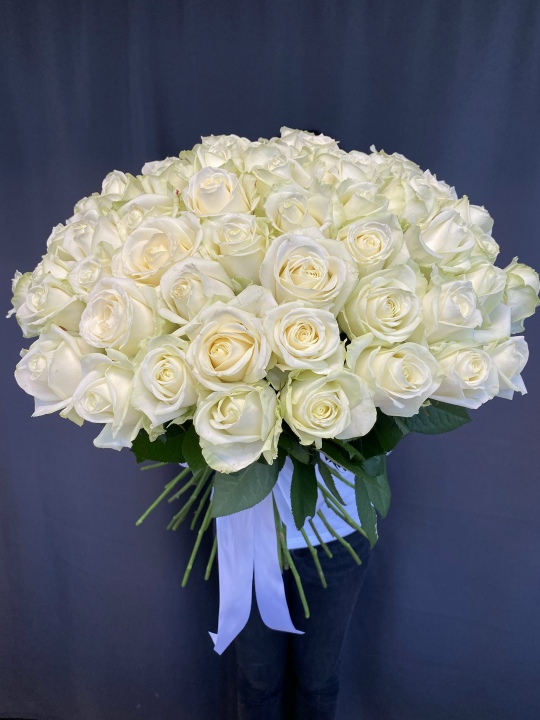 51 белая роза