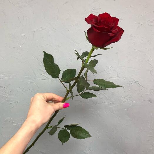 Красная роза 70 см
