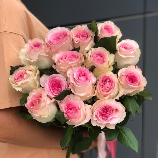 Роза "Мандала" 15 шт Кения