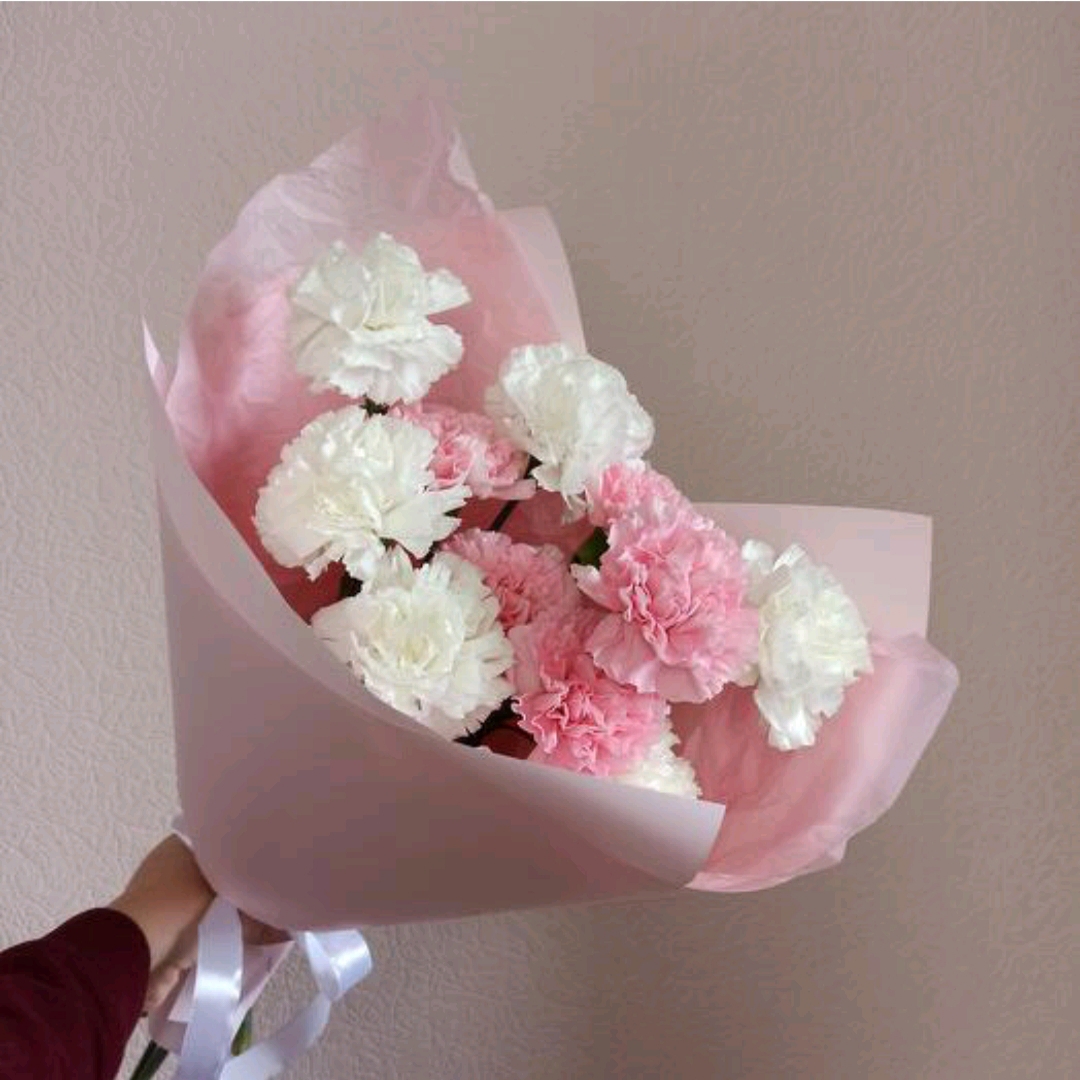 Нежный букет 11 диантусов 