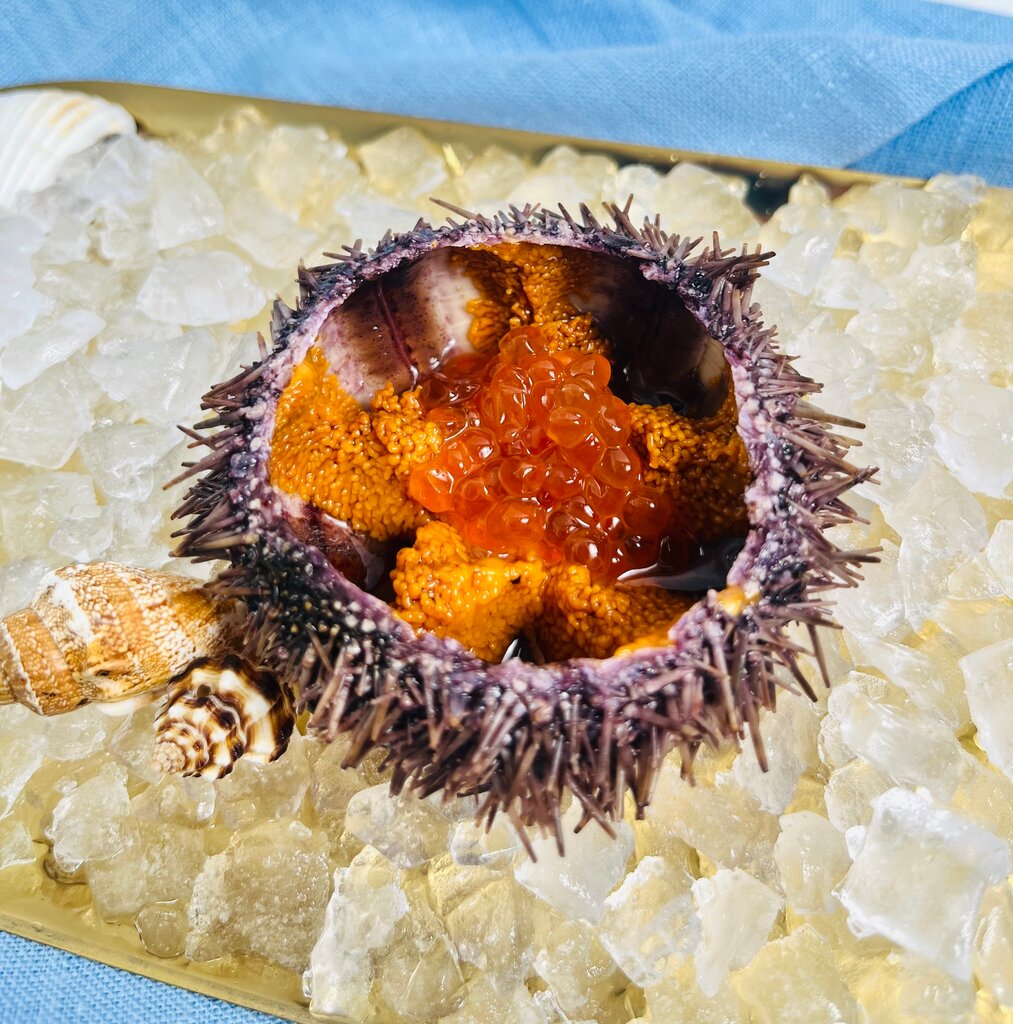 Морской ёжик с красной икрой