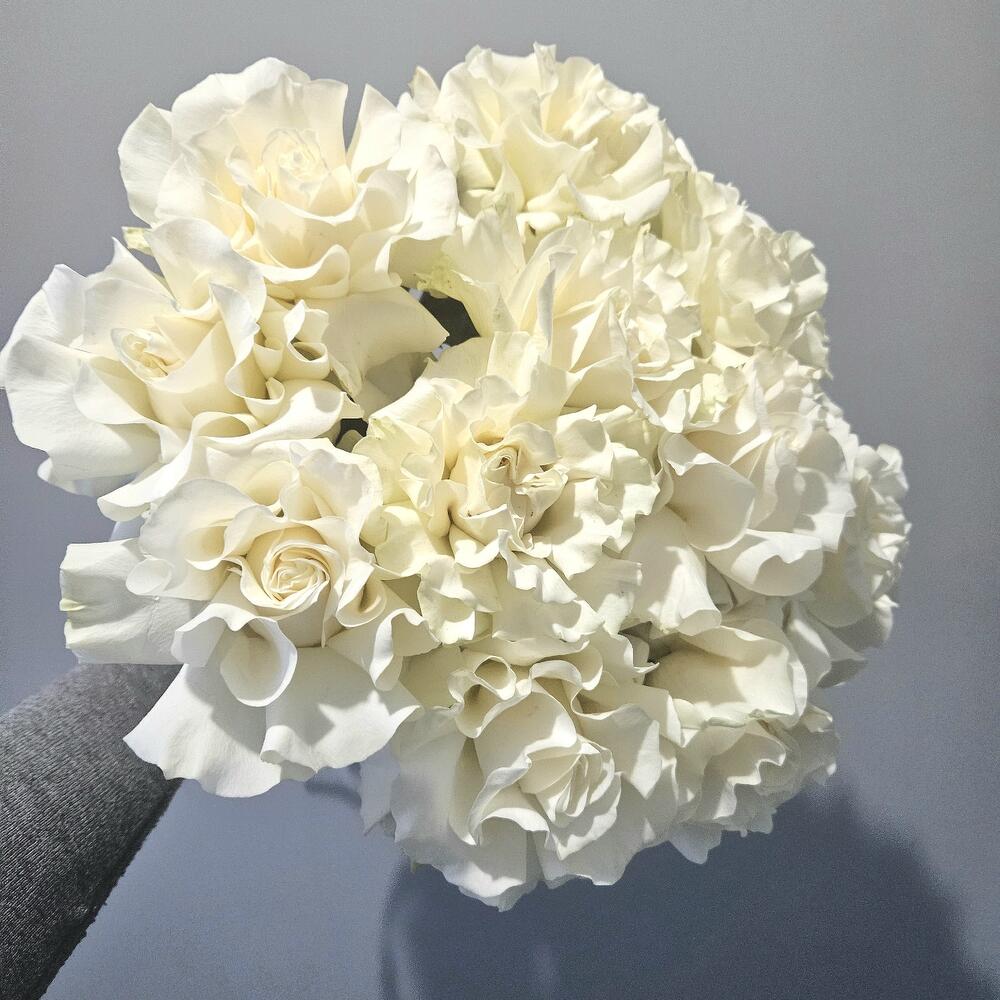 Букет из шикарных белых французских роз 11 шт