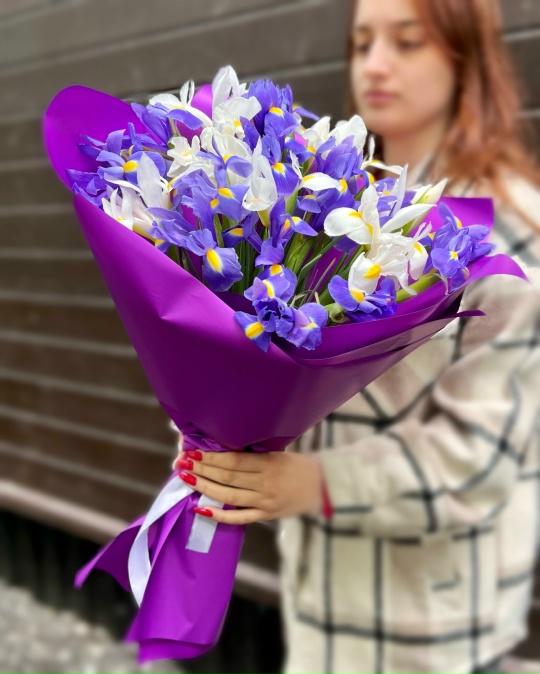 Букет из 25 ирисов