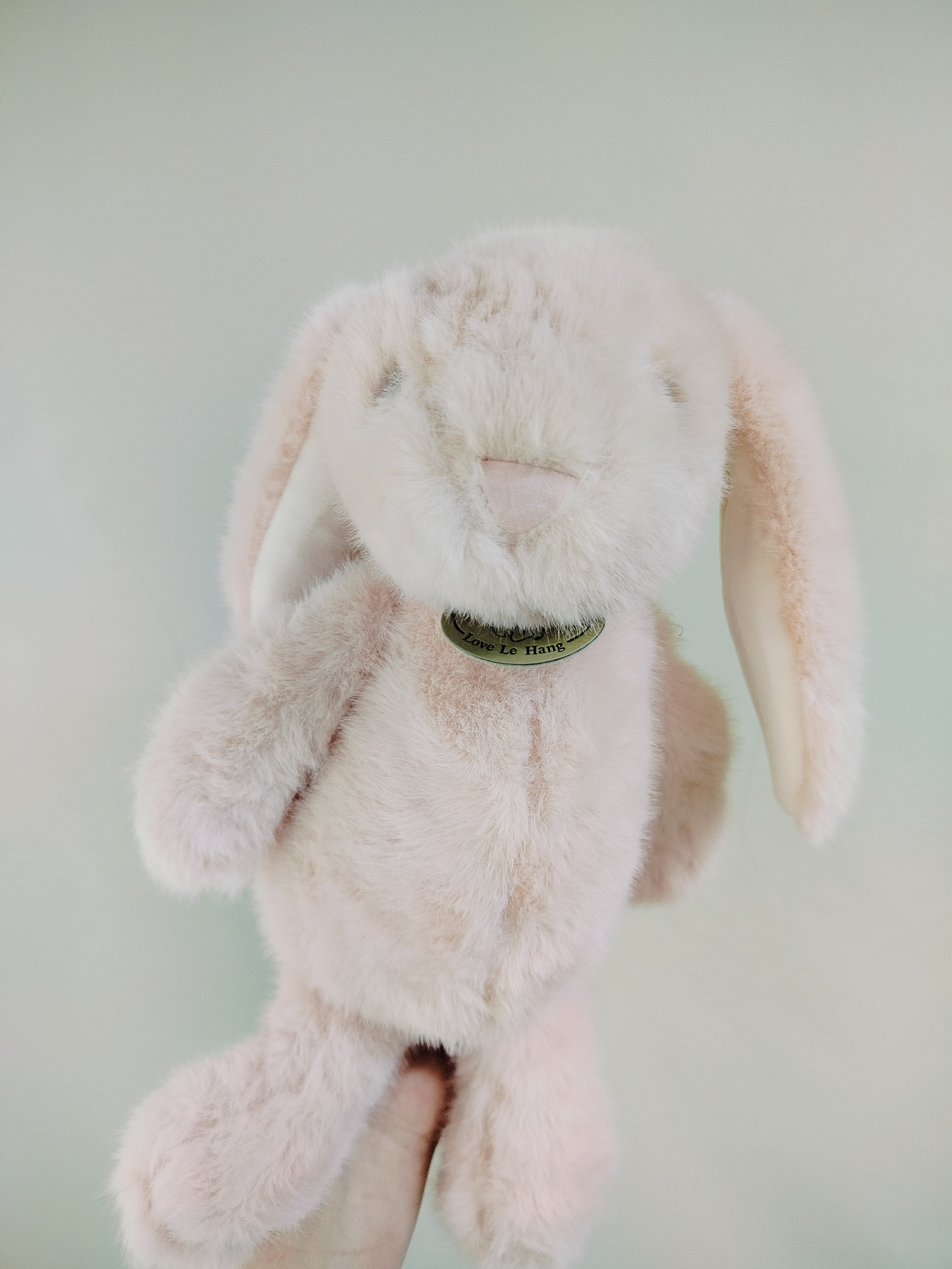 Розовый заяц