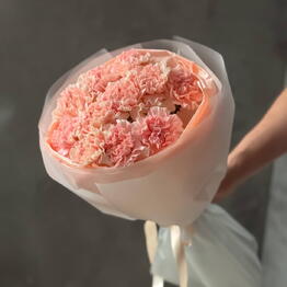 Букет французских диантусов 11шт