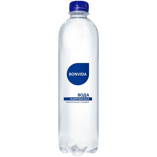 Вода газированная 0,5л.