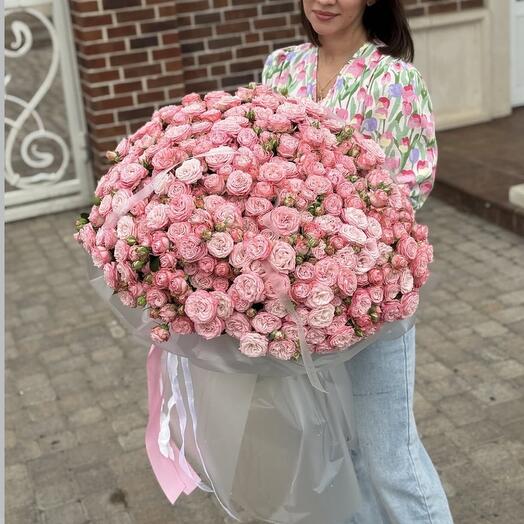 Нежная пионовидная кустовая Роза пионы