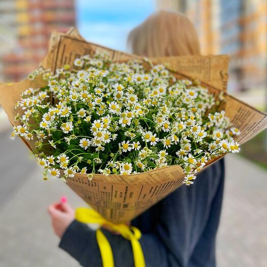 Ромашки