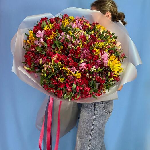 Большой букет из 101 альстромерии микс