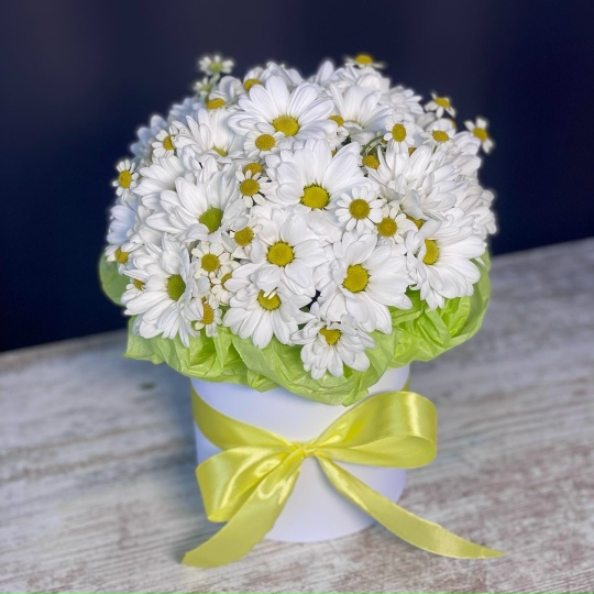 Коробка с ромашками