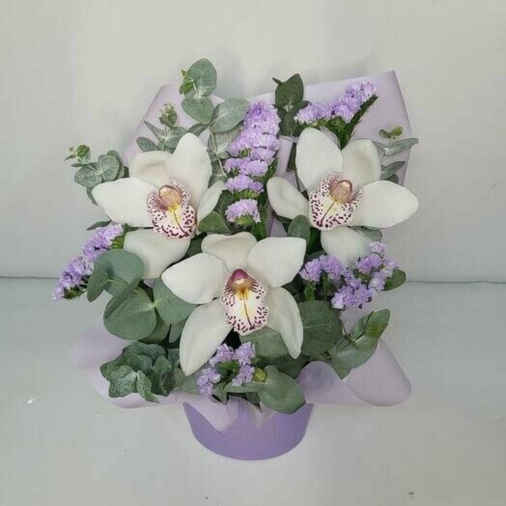 Орхидеи в коробке