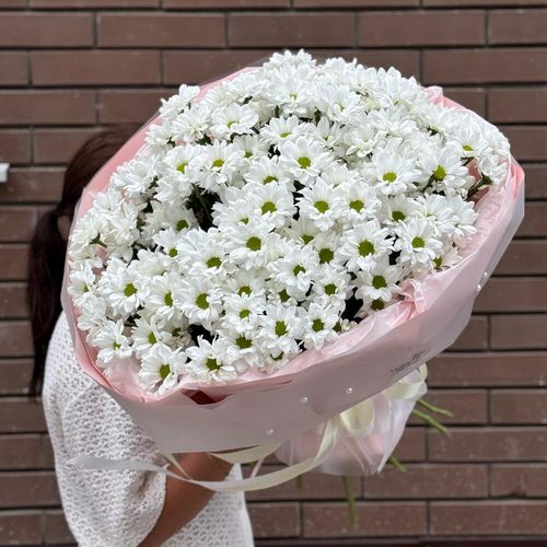 Ромашковое облако