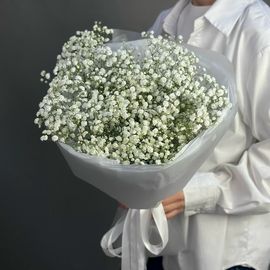 Воздушная гипсофила