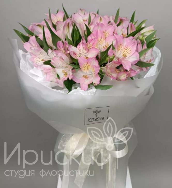 Нежные альстромерии