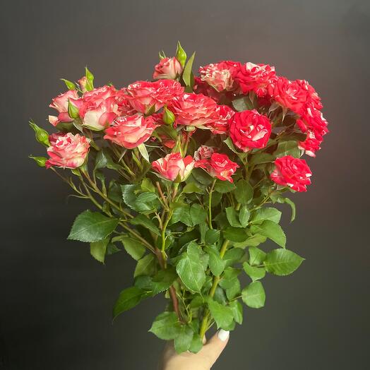 Букет из 5 кустовых роз