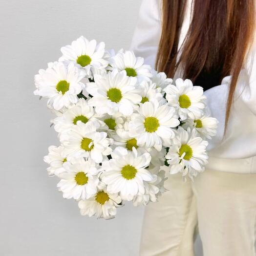 Букет «Любимка» из 3 ромашковидных хризантем под ленту