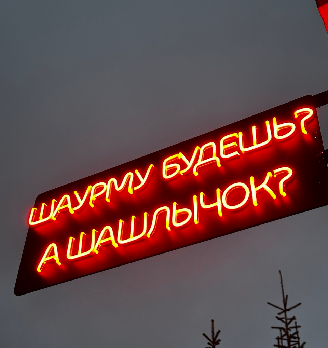Шаурму будешь? А шашлычок? - логотип