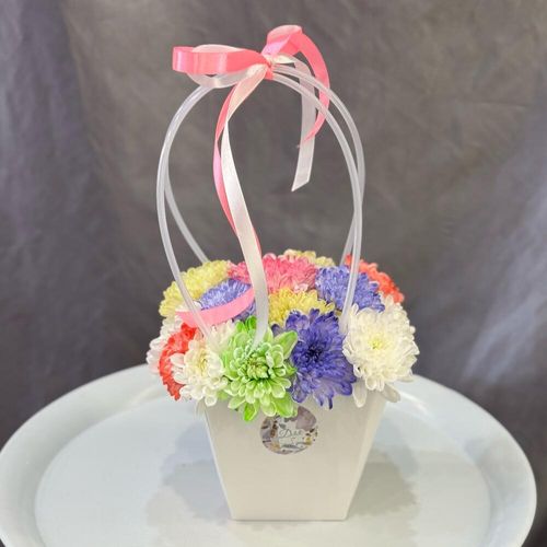 Букет из цветных хризантем в сумочке (к0068)