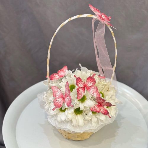 Букет из ромашек с бабочками в корзинке (к0041)