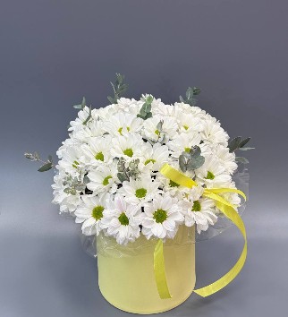 Композиция10