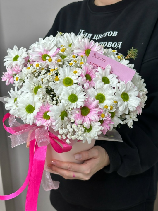 Композиция из ромашек