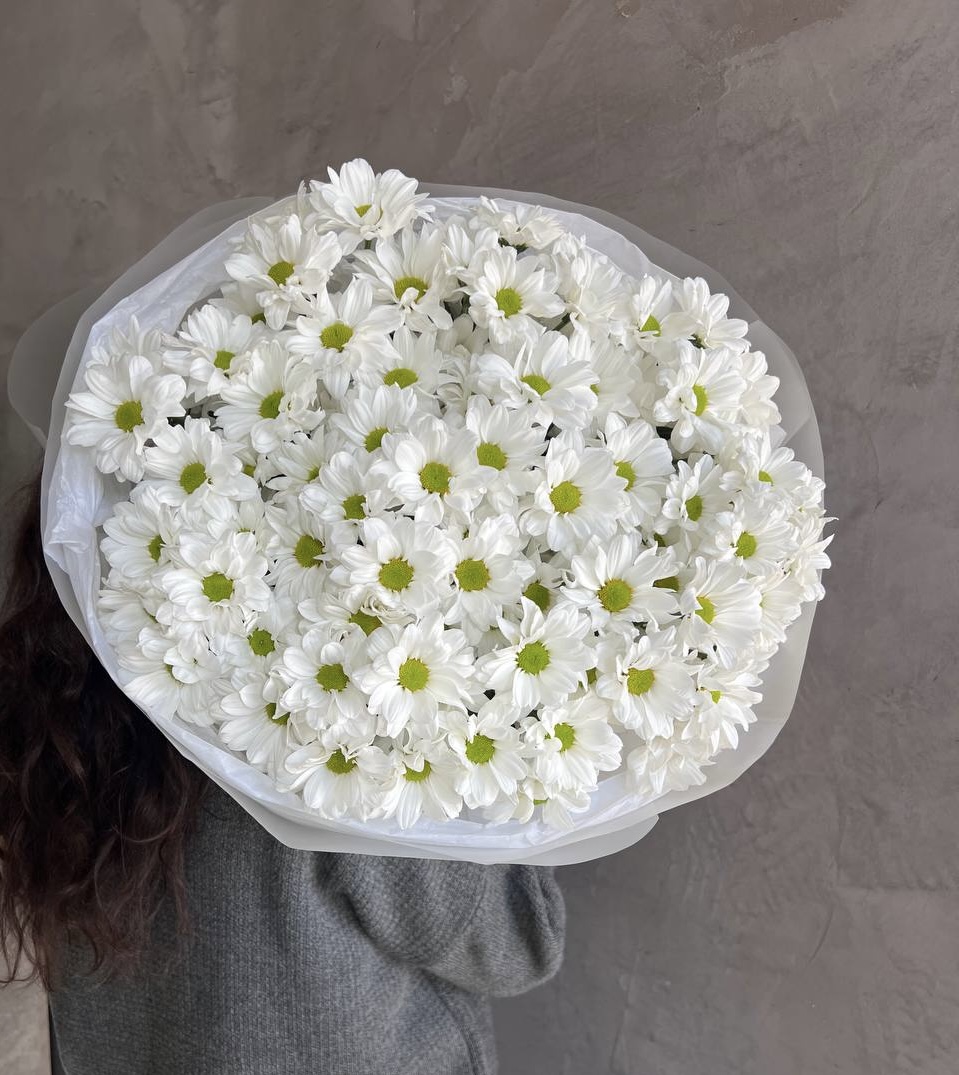 25 ромашковых хризантем