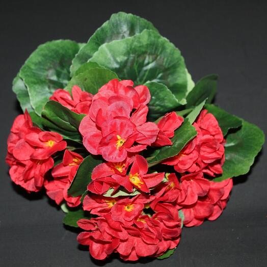 Искусственная Бегония