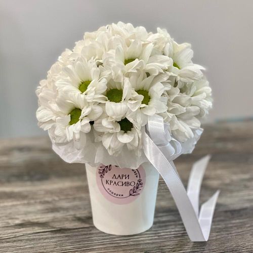 Ромашки в стаканчике