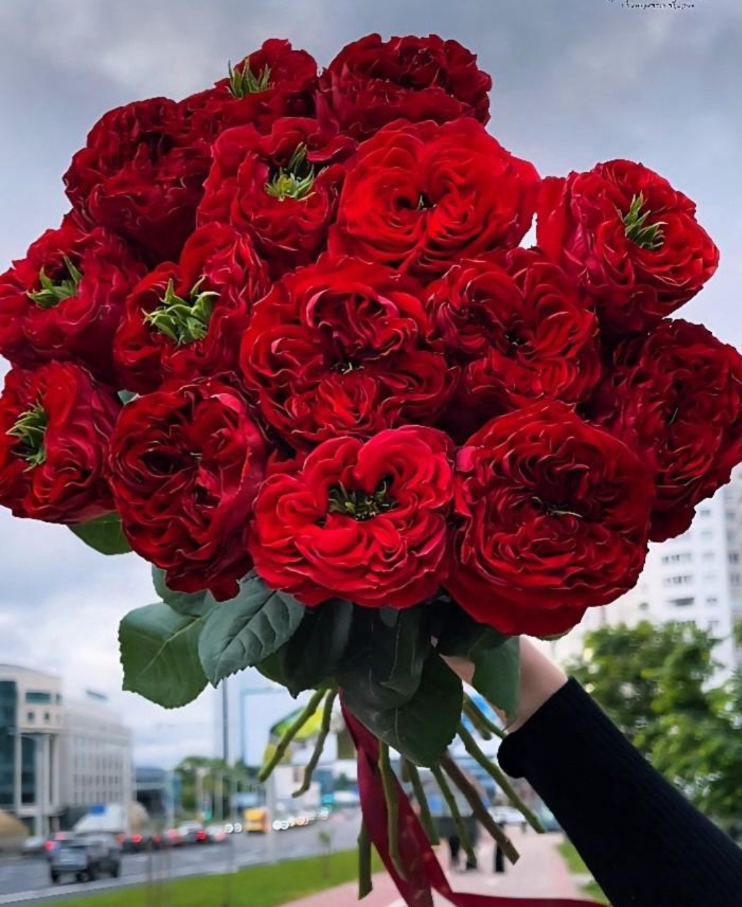 Великолепие