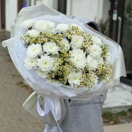 Алтай и ромашки