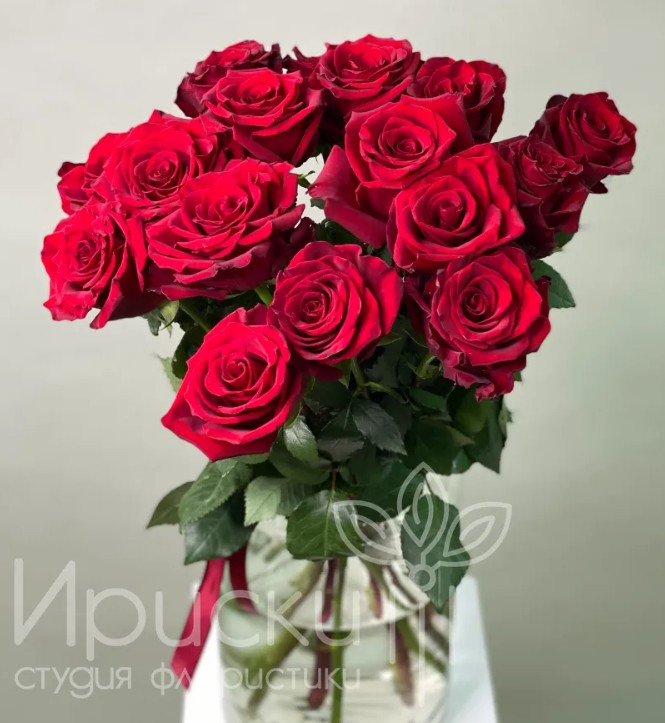 15 классических темно-красных роз
