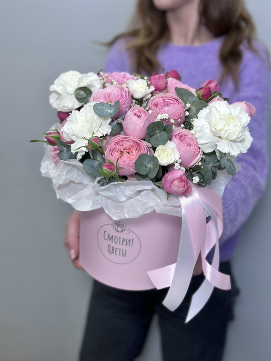 «Сильва Пинк»