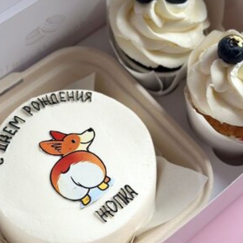 Набор Бенто-торт Корги и 2 капкейка с голубикой