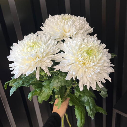 Букет из хризантем 3