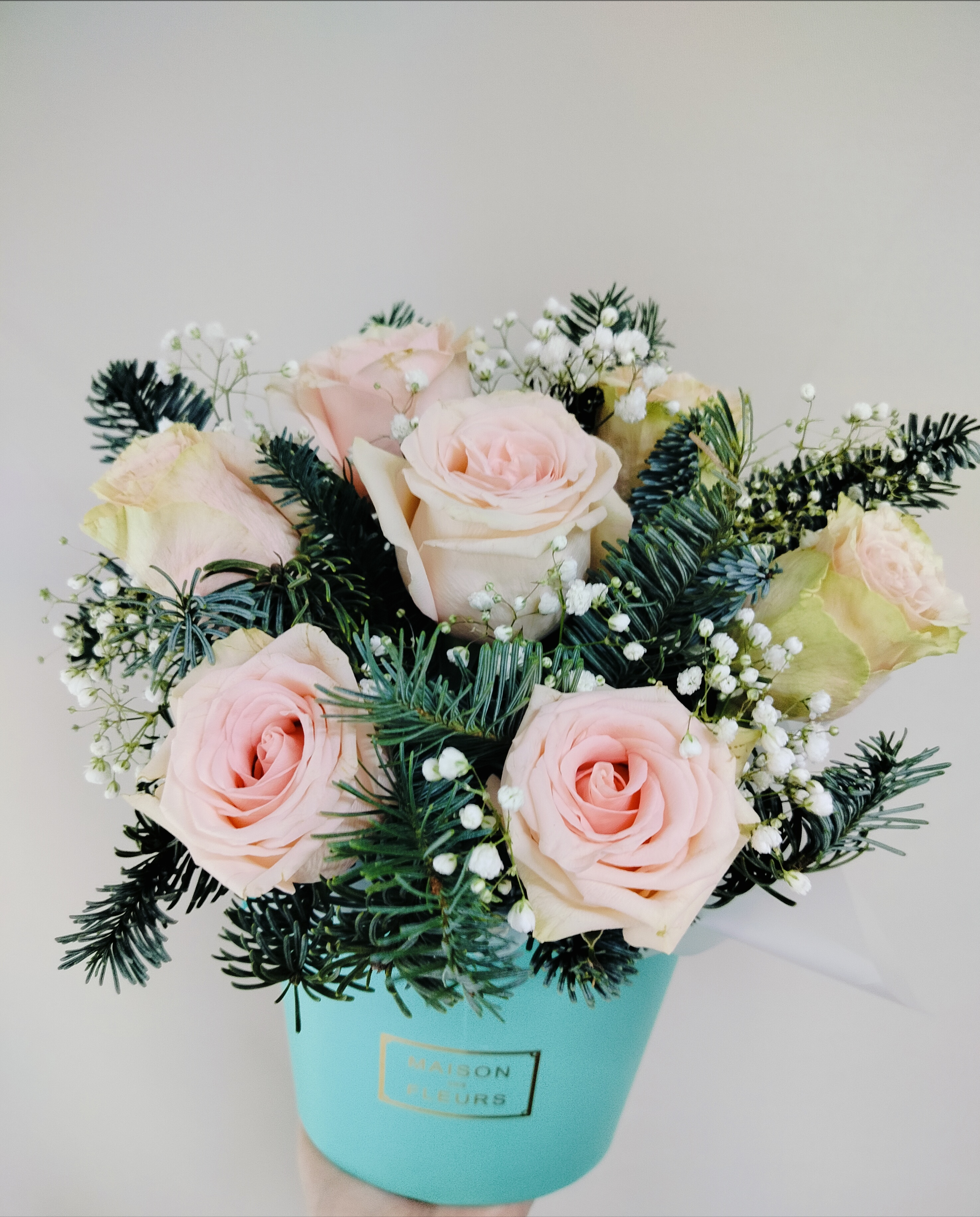 Композиция с нобилисом