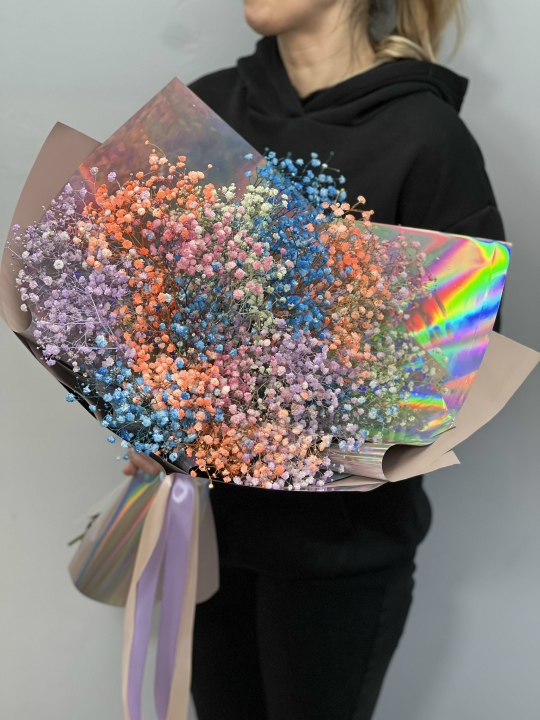 Радужная гипсофила