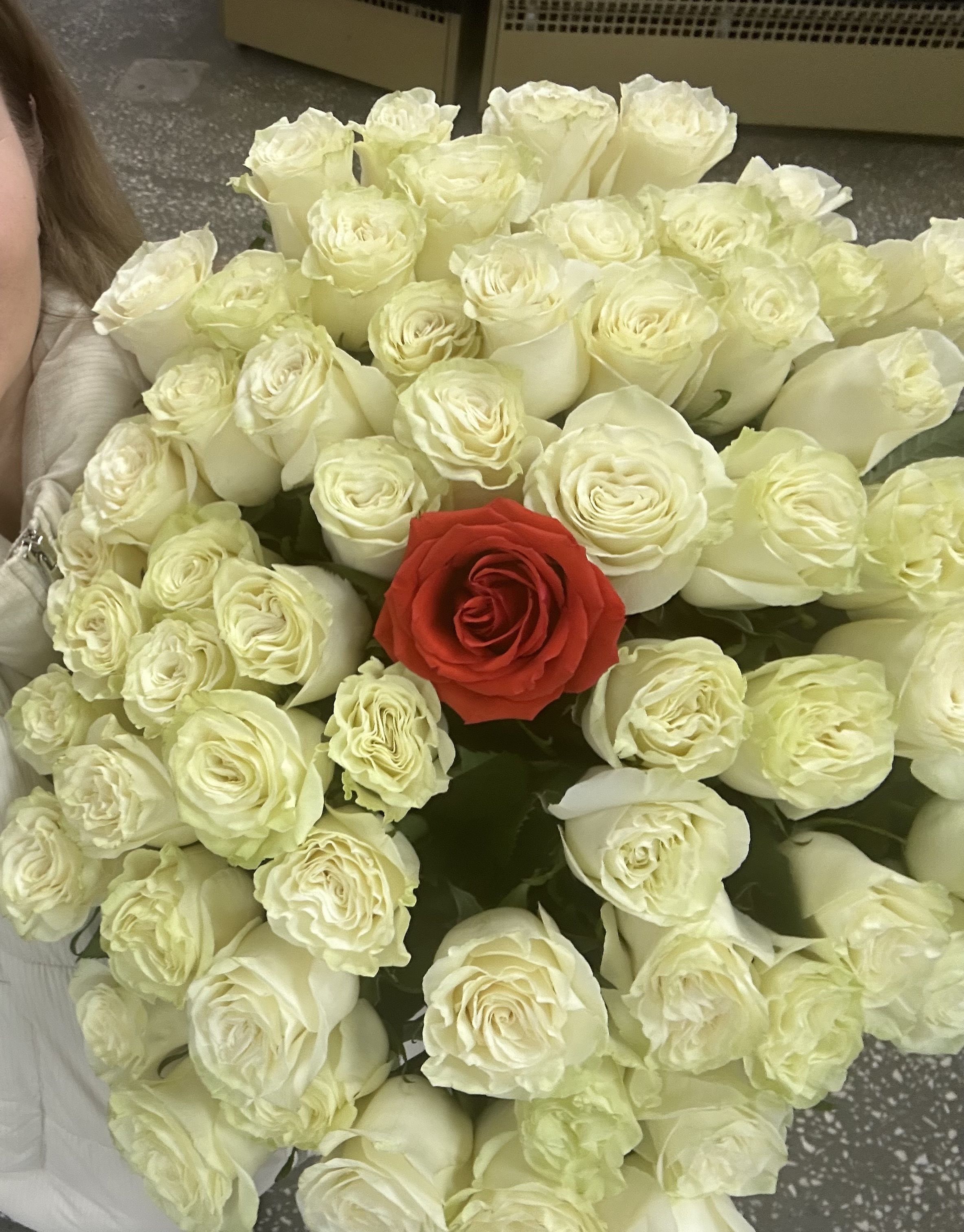 61 эквадорская Роза (белые и коралловая)