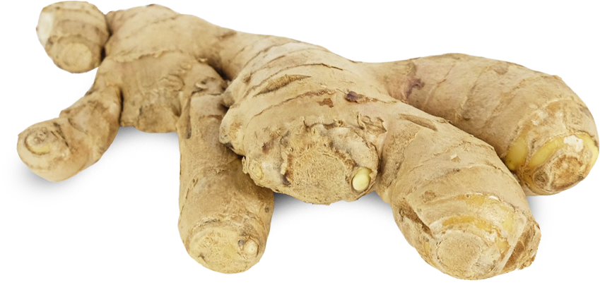Имбирь (корень)