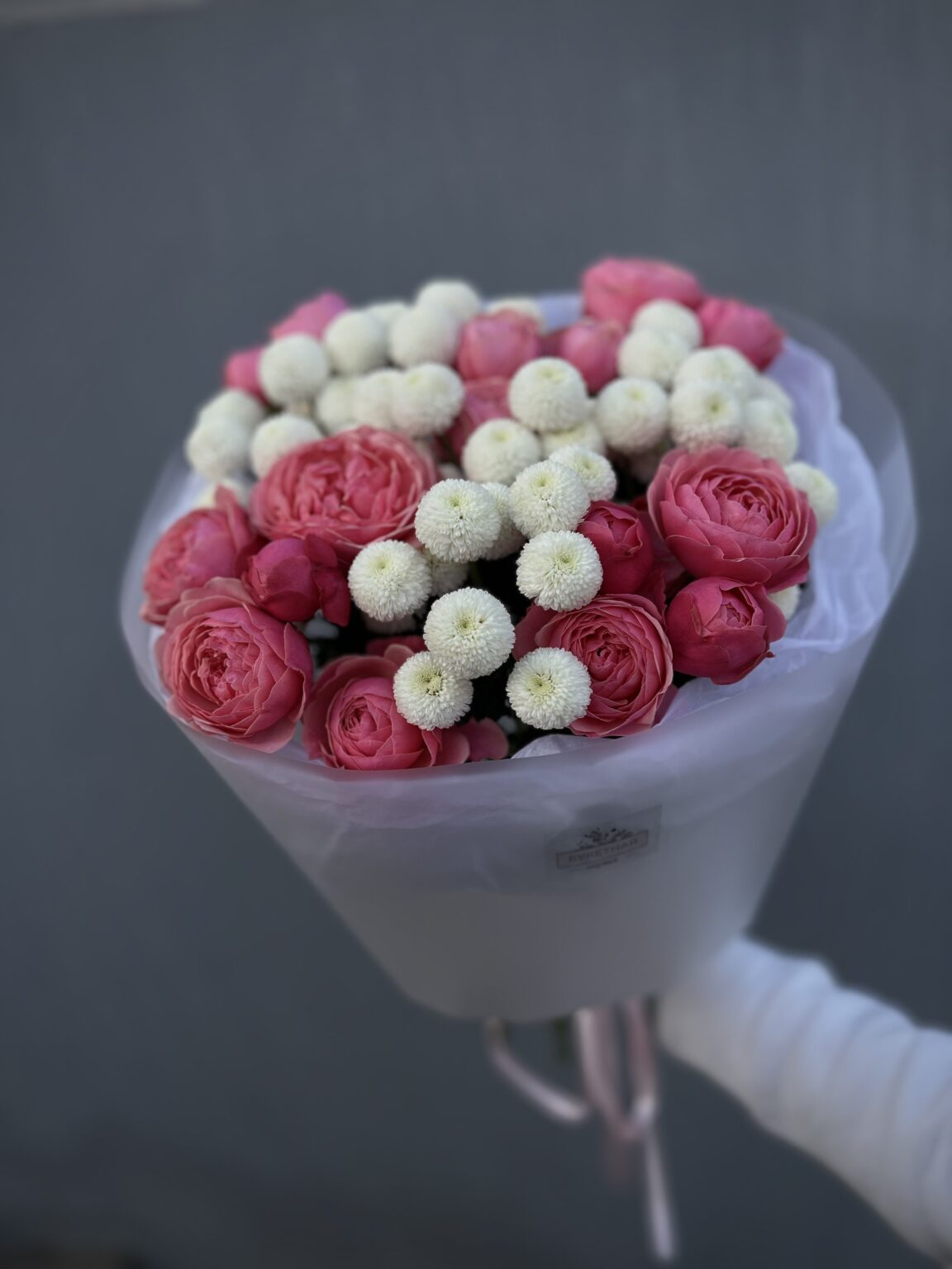 Малина на снегу