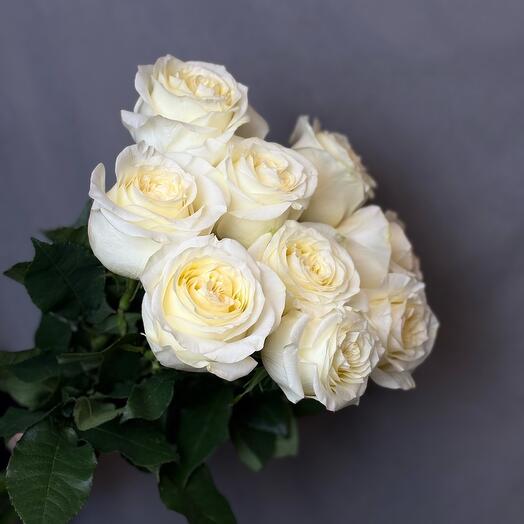 Роза Кэндилайт 9шт 