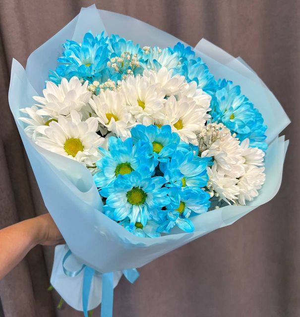 7 Ромашковых хризантем с гипсофилой